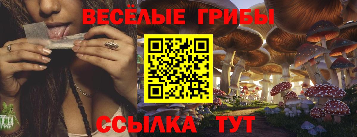 Назарово  Псилоцибиновые грибы Psilocybine cubensis  Галлюциногенные грибы Magic Shrooms  Вход с VPN 